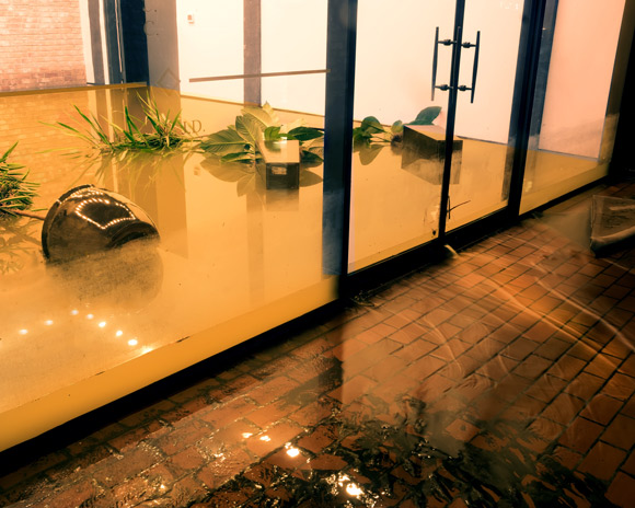 flood damaged office room filled with muddy water and fallen potted plants against floor to ceiling windows and doors
